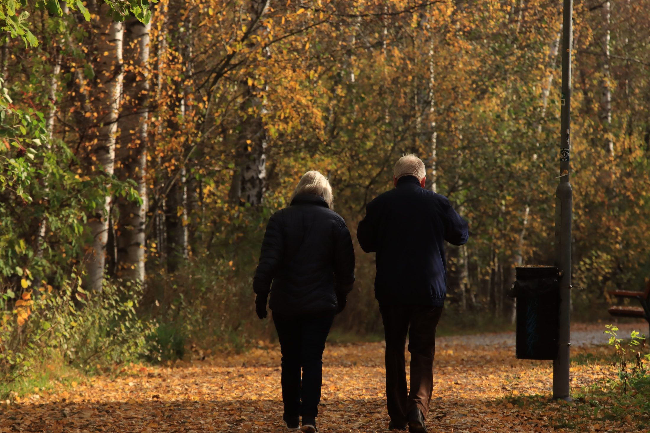 A couple walking together along an autumn path